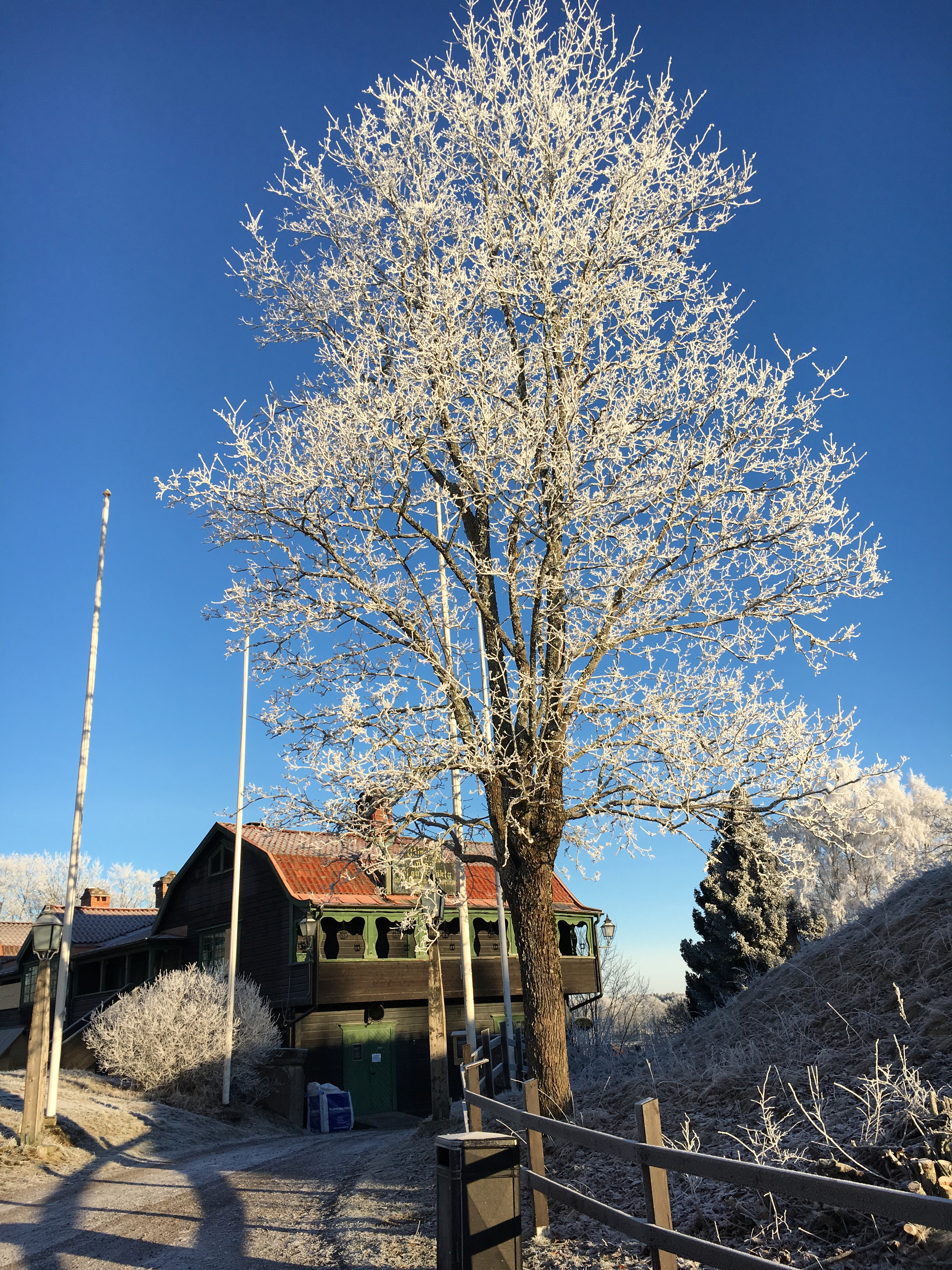 Gamla Uppsala Odinsborg  SFV